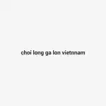 Chổi lông gà lớn - Việt Nam