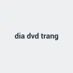 Đĩa DVD trắng