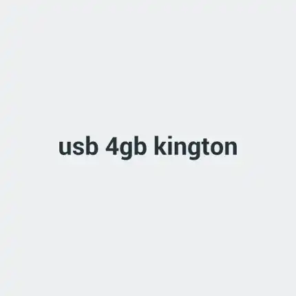 USB 4Gb Kington
