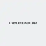 E18501 Pin kiềm Deli AA-4