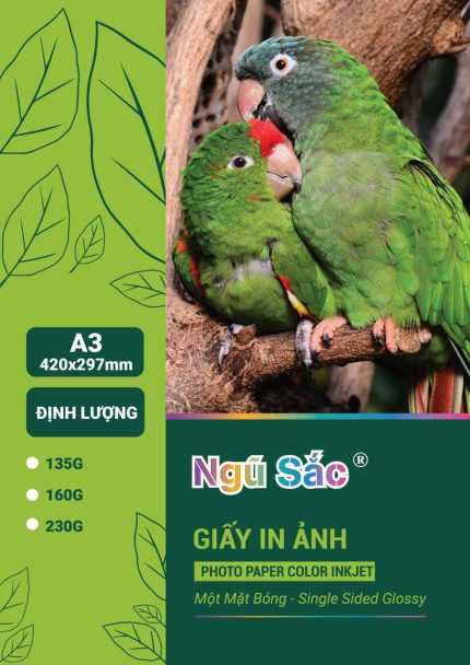 Giấy in ảnh Ngũ Sắc A3 1 mặt 230gsm 50 tờ