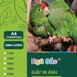 Giấy in ảnh Ngũ Sắc A4 1 mặt 160gsm 100 tờ