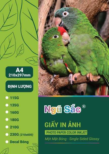 Giấy in ảnh Ngũ Sắc A4 1 mặt 210gsm 50 tờ
