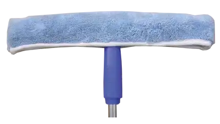 Cây lau kiếng Homeinno