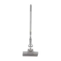 Cây lau nhà Trần Thức mút xám